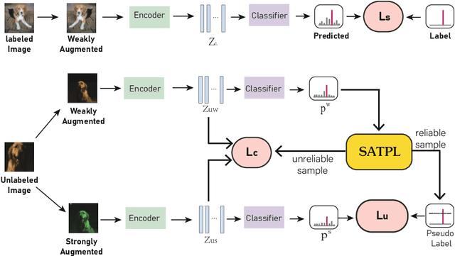 Figure 1 for Self Adaptive Threshold Pseudo-labeling and Unreliable Sample Contrastive Loss for Semi-supervised Image Classification