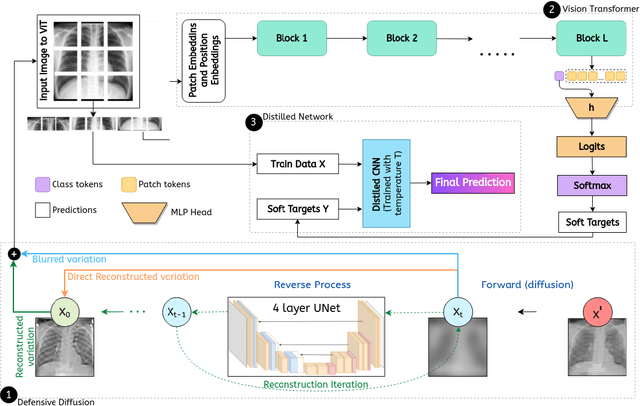 Figure 3 for On enhancing the robustness of Vision Transformers: Defensive Diffusion