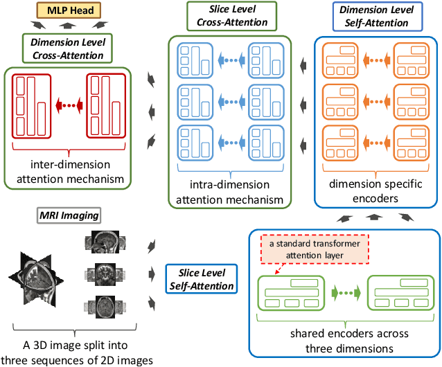 Figure 1 for MedTransformer: Accurate AD Diagnosis for 3D MRI Images through 2D Vision Transformers