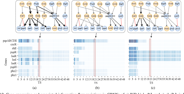 Figure 4 for Inferring Gene Regulatory Neural Networks for Bacterial Decision Making in Biofilms