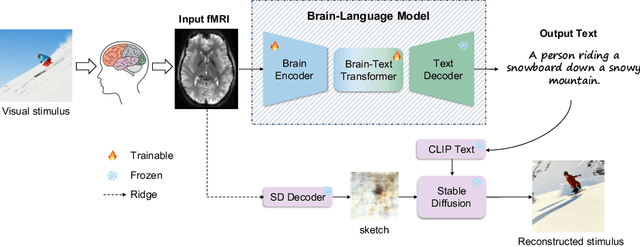 Figure 1 for MindSemantix: Deciphering Brain Visual Experiences with a Brain-Language Model