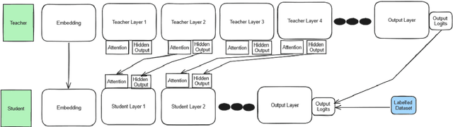 Figure 1 for The Privileged Students: On the Value of Initialization in Multilingual Knowledge Distillation