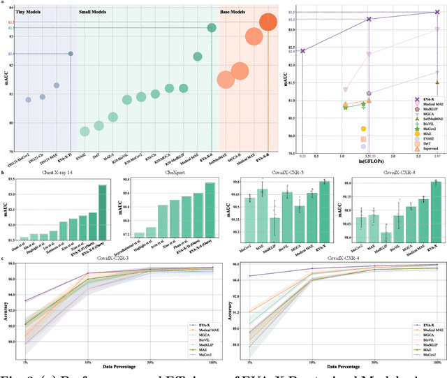 Figure 3 for EVA-X: A Foundation Model for General Chest X-ray Analysis with Self-supervised Learning