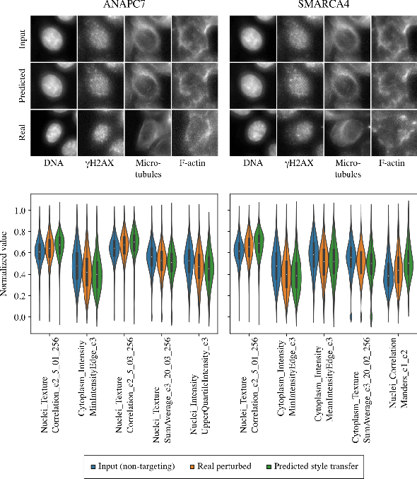 Figure 3 for Gene-Level Representation Learning via Interventional Style Transfer in Optical Pooled Screening