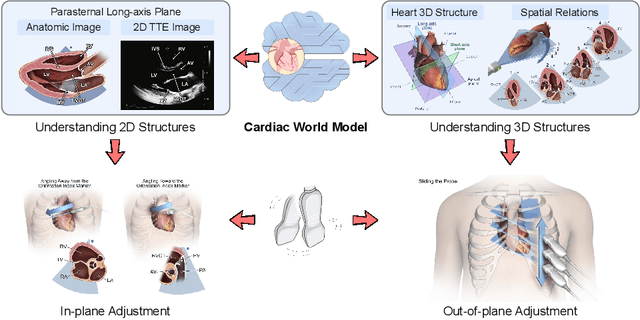 Figure 1 for Structure-aware World Model for Probe Guidance via Large-scale Self-supervised Pre-train