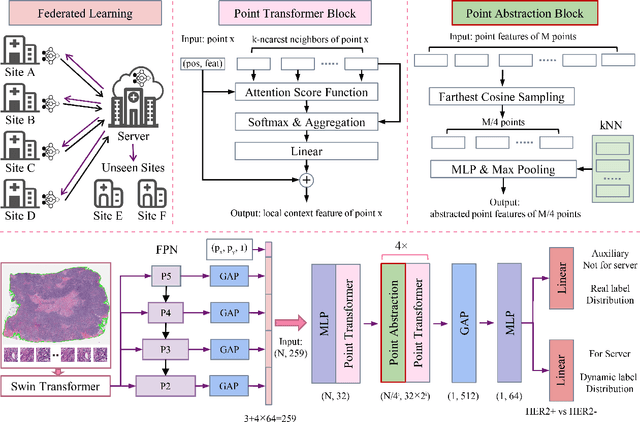 Figure 3 for Point Transformer with Federated Learning for Predicting Breast Cancer HER2 Status from Hematoxylin and Eosin-Stained Whole Slide Images