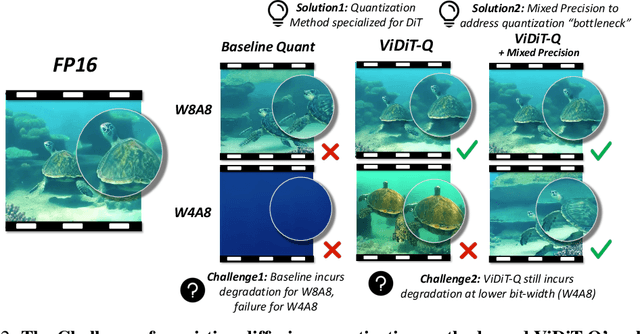 Figure 2 for ViDiT-Q: Efficient and Accurate Quantization of Diffusion Transformers for Image and Video Generation