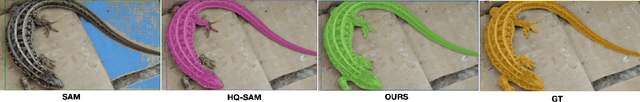 Figure 1 for PM-VIS: High-Performance Box-Supervised Video Instance Segmentation