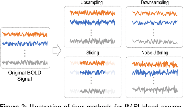 Figure 3 for ACTION: Augmentation and Computation Toolbox for Brain Network Analysis with Functional MRI