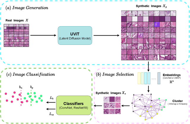 Figure 1 for Image Distillation for Safe Data Sharing in Histopathology