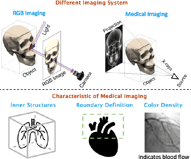 Figure 2 for Neural Radiance Fields in Medical Imaging: Challenges and Next Steps