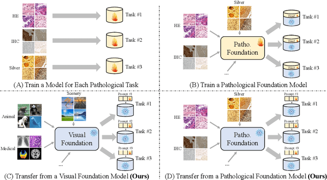 Figure 1 for PathoTune: Adapting Visual Foundation Model to Pathological Specialists