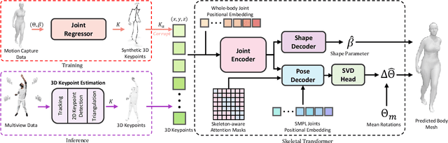 Figure 1 for SkelFormer: Markerless 3D Pose and Shape Estimation using Skeletal Transformers