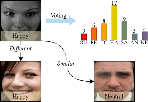 Figure 1 for Ada-DF: An Adaptive Label Distribution Fusion Network For Facial Expression Recognition