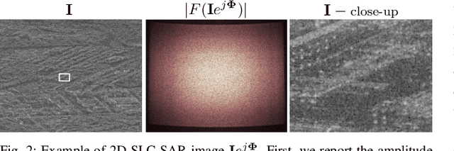 Figure 3 for Hiding Local Manipulations on SAR Images: a Counter-Forensic Attack