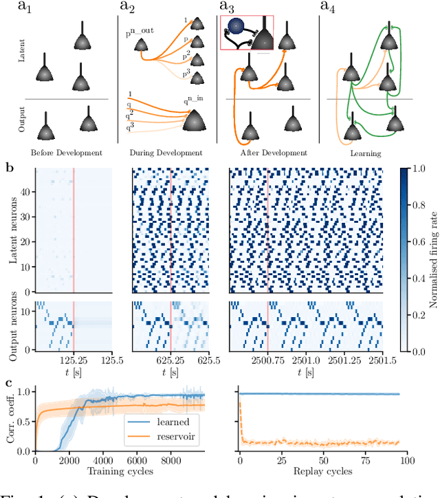 Figure 1 for Order from chaos: Interplay of development and learning in recurrent networks of structured neurons