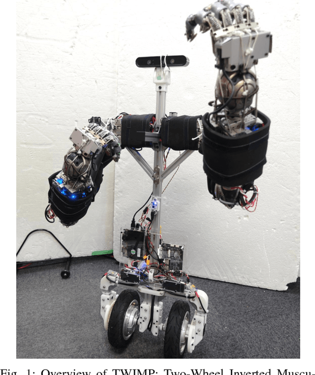 Figure 1 for TWIMP: Two-Wheel Inverted Musculoskeletal Pendulum as a Learning Control Platform in the Real World with Environmental Physical Contact