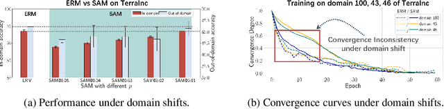 Figure 1 for Domain-Inspired Sharpness-Aware Minimization Under Domain Shifts