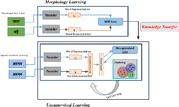 Figure 1 for Weakly-supervised Deep Cognate Detection Framework for Low-Resourced Languages Using Morphological Knowledge of Closely-Related Languages