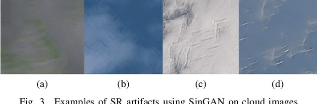 Figure 3 for A statistically constrained internal method for single image super-resolution