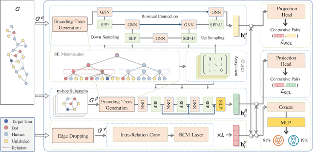 Figure 3 for SeBot: Structural Entropy Guided Multi-View Contrastive Learning for Social Bot Detection