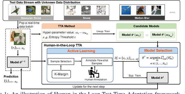 Figure 1 for Exploring Human-in-the-Loop Test-Time Adaptation by Synergizing Active Learning and Model Selection