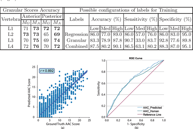 Figure 4 for AACLiteNet: A Lightweight Model for Detection of Fine-Grained Abdominal Aortic Calcification