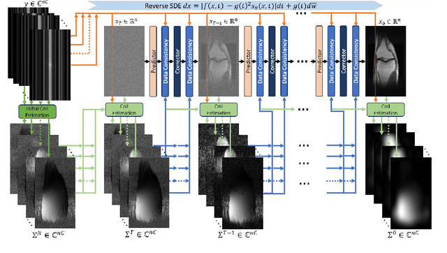 Figure 1 for Joint Non-Linear MRI Inversion with Diffusion Priors