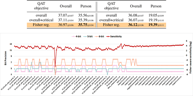 Figure 4 for Fisher-aware Quantization for DETR Detectors with Critical-category Objectives