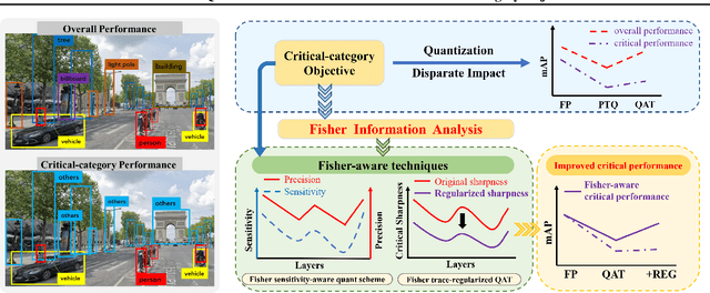 Figure 1 for Fisher-aware Quantization for DETR Detectors with Critical-category Objectives