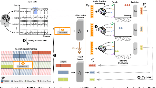 Figure 1 for Brain-JEPA: Brain Dynamics Foundation Model with Gradient Positioning and Spatiotemporal Masking