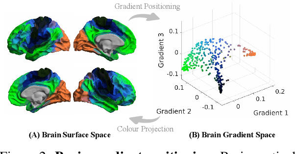 Figure 3 for Brain-JEPA: Brain Dynamics Foundation Model with Gradient Positioning and Spatiotemporal Masking