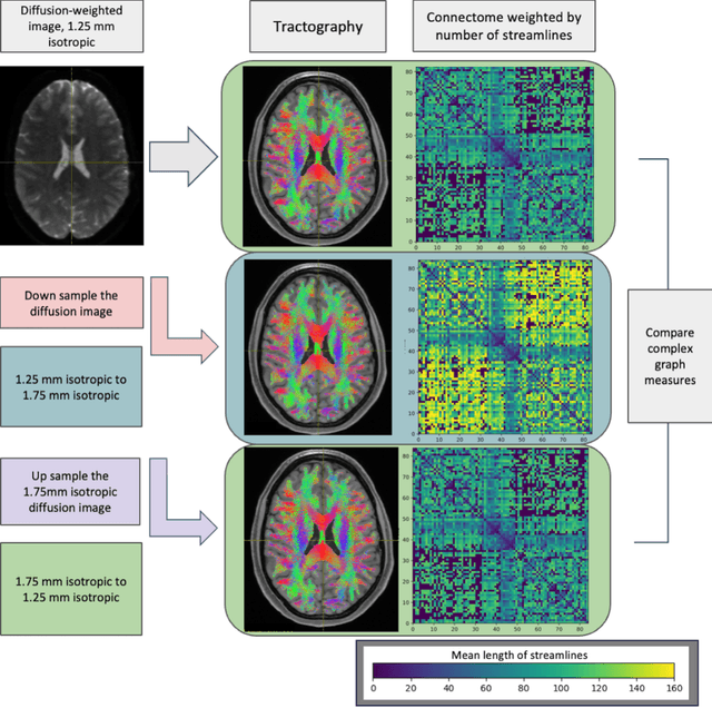Figure 3 for Harmonized connectome resampling for variance in voxel sizes