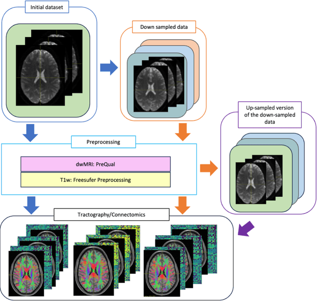 Figure 4 for Harmonized connectome resampling for variance in voxel sizes