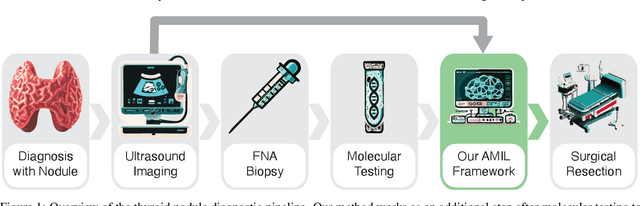 Figure 1 for Reducing Overtreatment of Indeterminate Thyroid Nodules Using a Multimodal Deep Learning Model