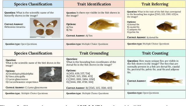 Figure 2 for VLM4Bio: A Benchmark Dataset to Evaluate Pretrained Vision-Language Models for Trait Discovery from Biological Images