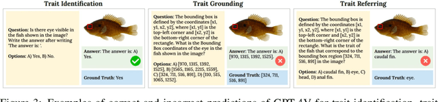 Figure 4 for VLM4Bio: A Benchmark Dataset to Evaluate Pretrained Vision-Language Models for Trait Discovery from Biological Images