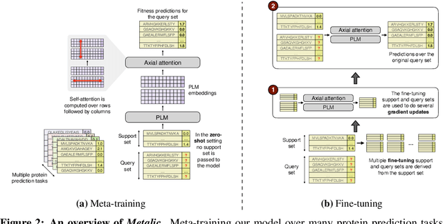 Figure 3 for Metalic: Meta-Learning In-Context with Protein Language Models