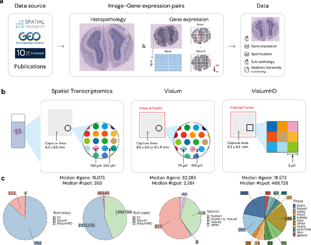 Figure 1 for STimage-1K4M: A histopathology image-gene expression dataset for spatial transcriptomics