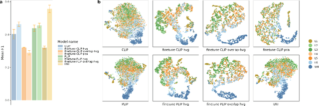 Figure 3 for STimage-1K4M: A histopathology image-gene expression dataset for spatial transcriptomics