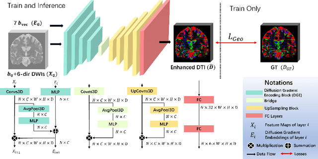 Figure 3 for Enhancing Angular Resolution via Directionality Encoding and Geometric Constraints in Brain Diffusion Tensor Imaging