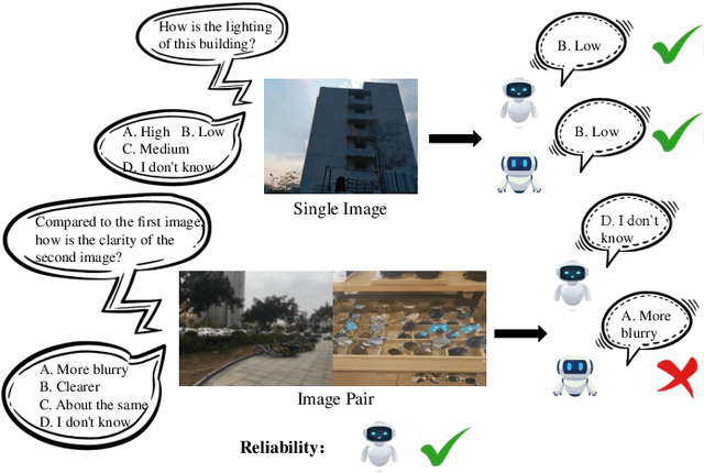 Figure 1 for Explore the Hallucination on Low-level Perception for MLLMs