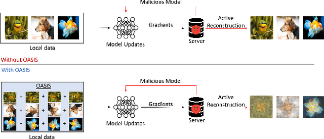 Figure 1 for OASIS: Offsetting Active Reconstruction Attacks in Federated Learning