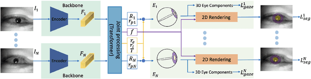 Figure 1 for Model-aware 3D Eye Gaze from Weak and Few-shot Supervisions