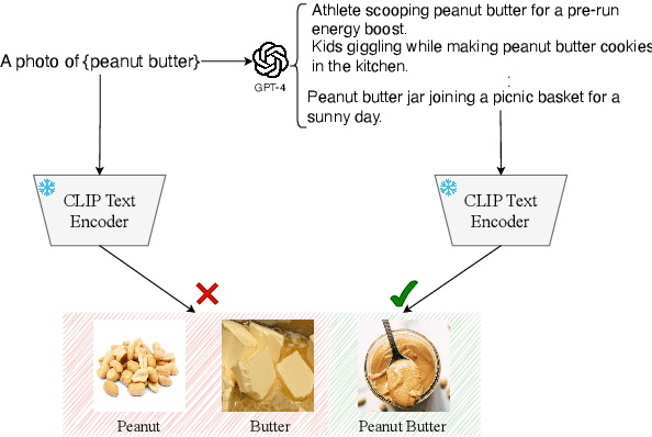 Figure 1 for Do Vision-Language Models Understand Compound Nouns?