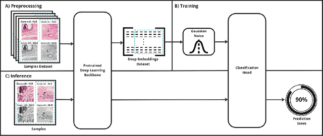 Figure 1 for Classification in Histopathology: A unique deep embeddings extractor for multiple classification tasks