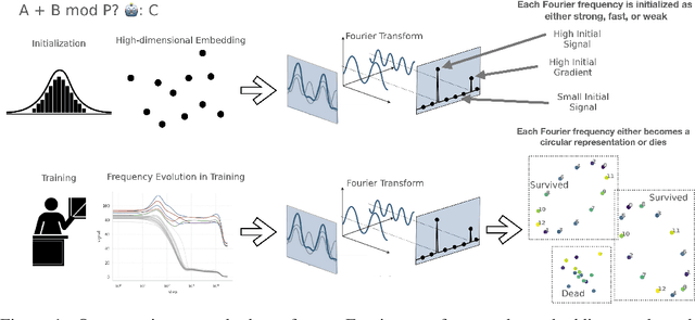 Figure 1 for Survival of the Fittest Representation: A Case Study with Modular Addition