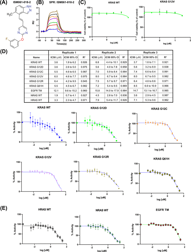 Figure 4 for Quantum Computing-Enhanced Algorithm Unveils Novel Inhibitors for KRAS