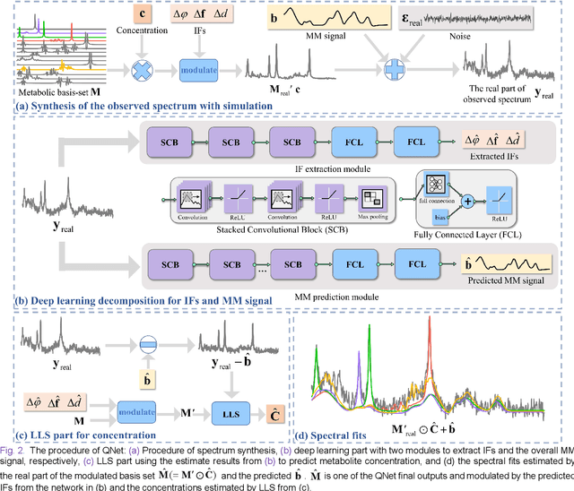 Figure 2 for Magnetic Resonance Spectroscopy Quantification Aided by Deep Estimations of Imperfection Factors and Overall Macromolecular Signal