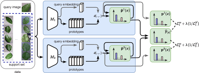 Figure 1 for Adaptive Weighted Co-Learning for Cross-Domain Few-Shot Learning